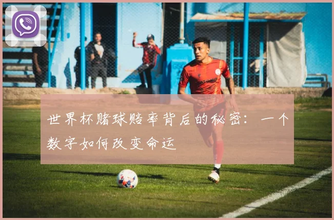 世界杯赌球赔率背后的秘密:一个数字如何改变命运