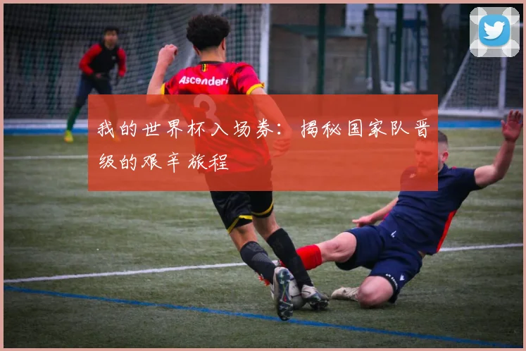 我的世界杯入场券：揭秘国家队晋级的艰辛旅程
